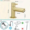 Lomazoo Fonteinkraan Goud Pyrmont