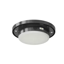 Lumisky Oplaadbare Zonnemodule Zwart 300lm Sunny