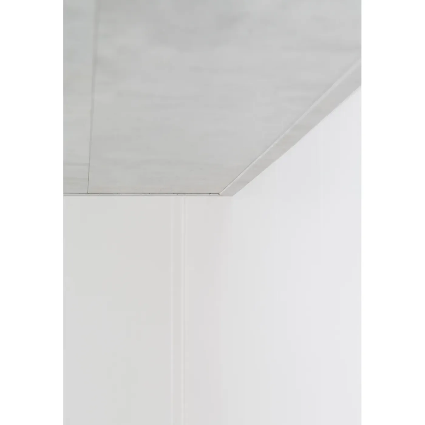 Maestro - Panel plafondpaneel - Raw Concrete - 10x190x1200mm - 1,37 m²
