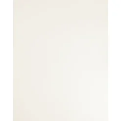 Meubelpaneel - wit - 250x20cm - 18mm
