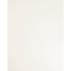 Overig Meubelpaneel - wit - 250x40cm - 18mm