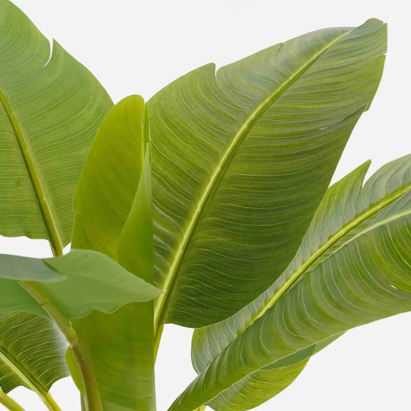Mica Decorations Artificial Plant Bananenboom - 90x90x155 Cm - Polyester - Green
