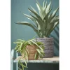 Mica Decorations Atlantic Mand L.bruin Set Van 2 - H20xd20cm