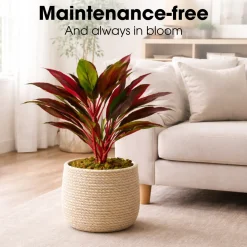 Mica Decorations Cordyline H90 X D70 Cm Rood