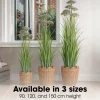 Mica Decorations Engelwortel H150 X D45 Cm Groen Paars