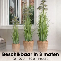 Mica Decorations Engelwortel H120 X D35 Cm Groen Paars