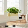 Mica Decorations Moritz Plantenstandaard -55x24x65cm - Beige
