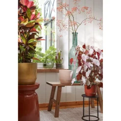 Mica Decorations Rioja Fles Transparant - H75xd18cm