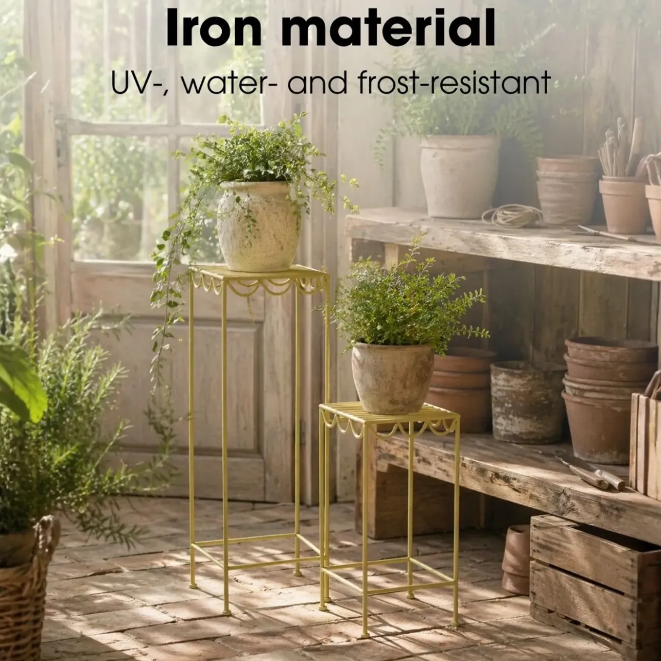 Mica Decorations Rosalie Plantentafel Set Van 3 Lichtgroen