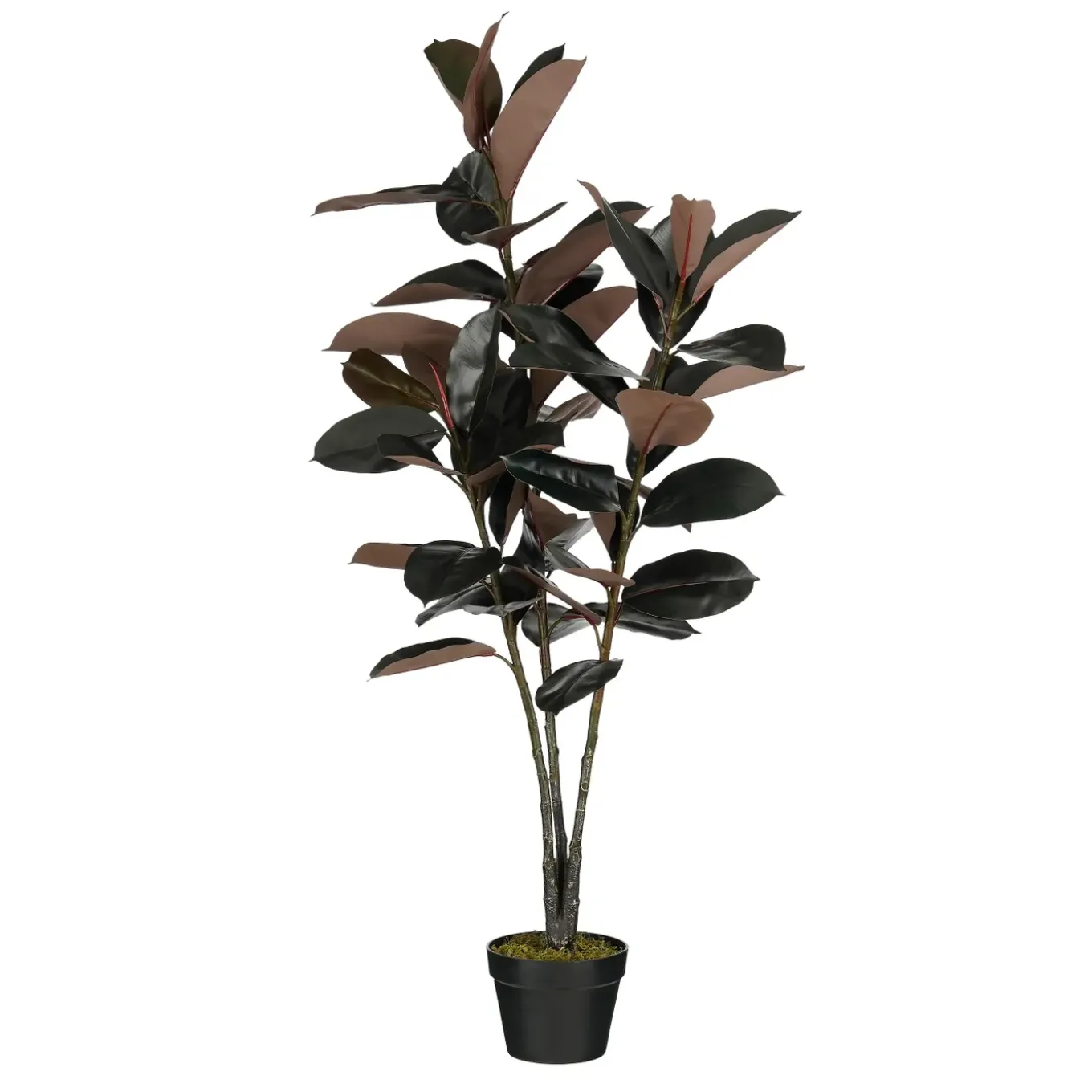 Mica Decorations Rubberplant H120 X D80 Cm Rood