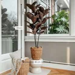 Mica Decorations Rubberplant H120 X D80 Cm Rood