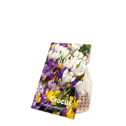 Bloomique Mix Van 40 - Crocus - Krokus - Voorjaarsbloeiend - Meerjarige Planten - Groeit Tot 10-15 Cm