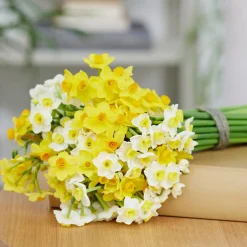 Bloomique Mix Van 15 - Narcissus - Narcis - Voorjaarsbloeiend - Meerjarige Planten - Groeit Tot 35-45 Cm