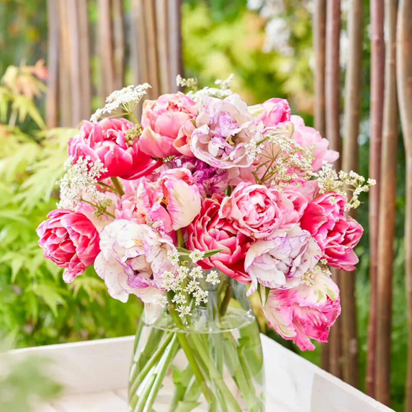 Mix Van 20 - Tulipa Double Pink - Tulpenbollen - Meerjarige Planten - Groeit Tot 30-35 Cm