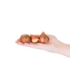 Mix Van 20 - Tulipa Dubbel Mix - Dubbele Bloem - Meerjarige Planten - Groeit Tot 35-40 Cm