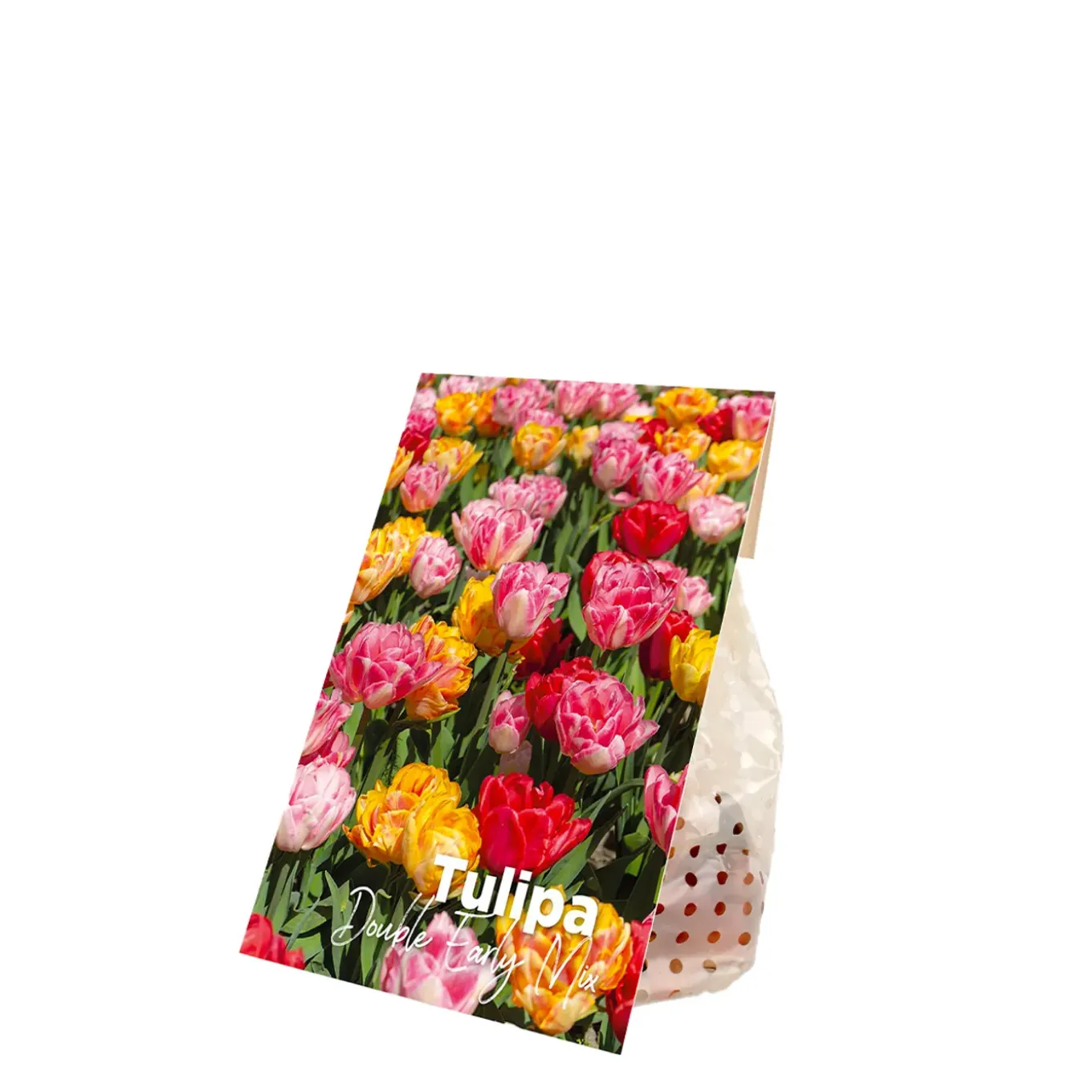 Mix Van 20 - Tulipa Dubbel Mix - Dubbele Bloem - Meerjarige Planten - Groeit Tot 35-40 Cm