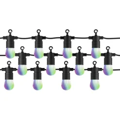 Müller-licht lichtsnoer zwart 12 lampjes wit en gekleurd licht 5,5W