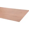 Multiplex hardhout 244X122cm 3,6mm
