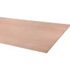 Overig Multiplex hardhout 244X122cm 12mm