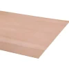 Overig Multiplex hardhout 244X122cm 9mm
