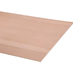 Overig Multiplex hardhout 244X122cm 9mm