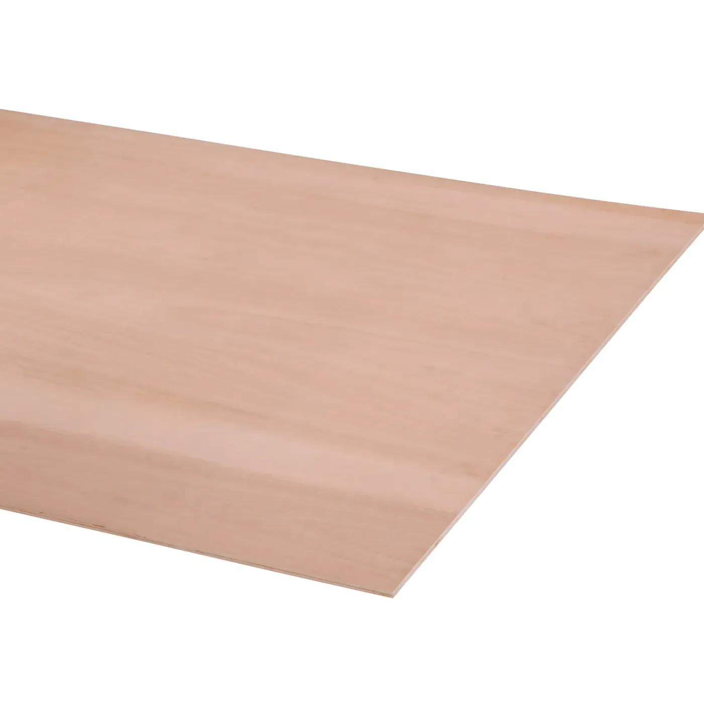 Overig Multiplex hardhout 244X122cm 9mm