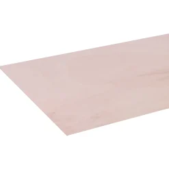 Overig Multiplex populieren 244x122cm 9mm