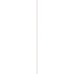 Overig Multiplex populieren 244x122cm 9mm