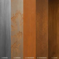 MySteel - Cortenstaal Staptegel - Organisch - 25x50cm - Roestkleur