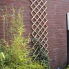 Nature bamboeklimrek 100x200cm