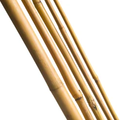 Nature bamboestok H90cmxØ8-10mm 7 stuks