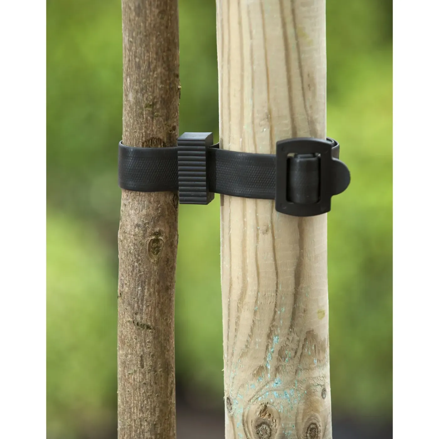 Nature boomband met gesp 45x2,5cm