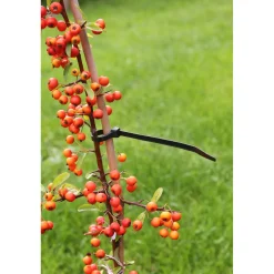 Nature kabelbinders nylon 15cm 25 stuks