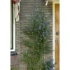 Nature klimrek rechthoekig model bevestigingsset 150x75cm