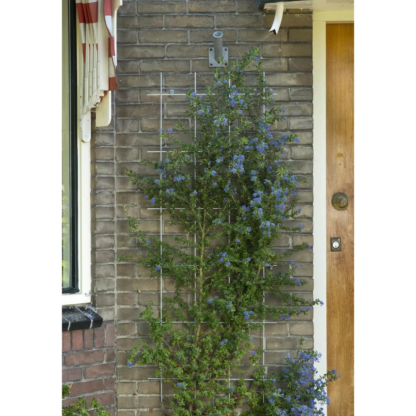 Nature klimrek rechthoekig model bevestigingsset 150x75cm