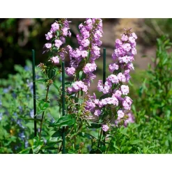 Nature kunststof plantenstok groen geribbeld H210cmxØ16mm