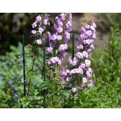 Nature kunststof plantenstok groen geribbeld H150cmxØ16mm