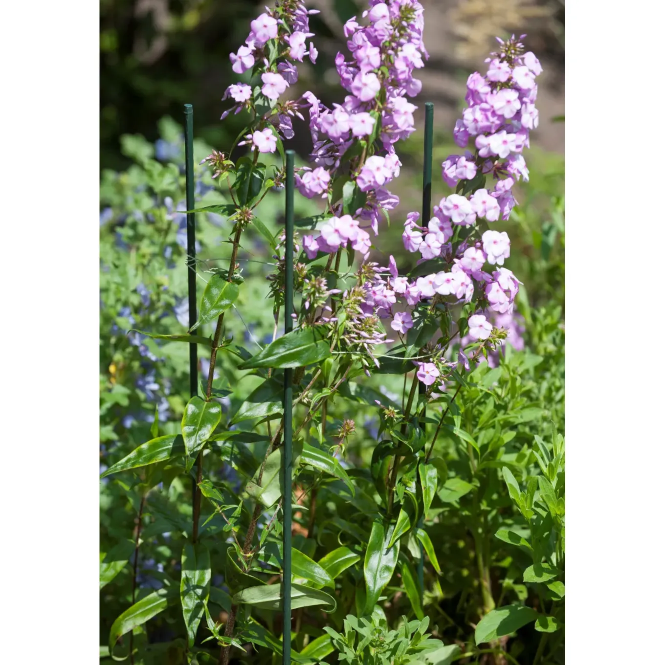 Nature kunststof plantenstok groen geribbeld H240cm x Ø16mm