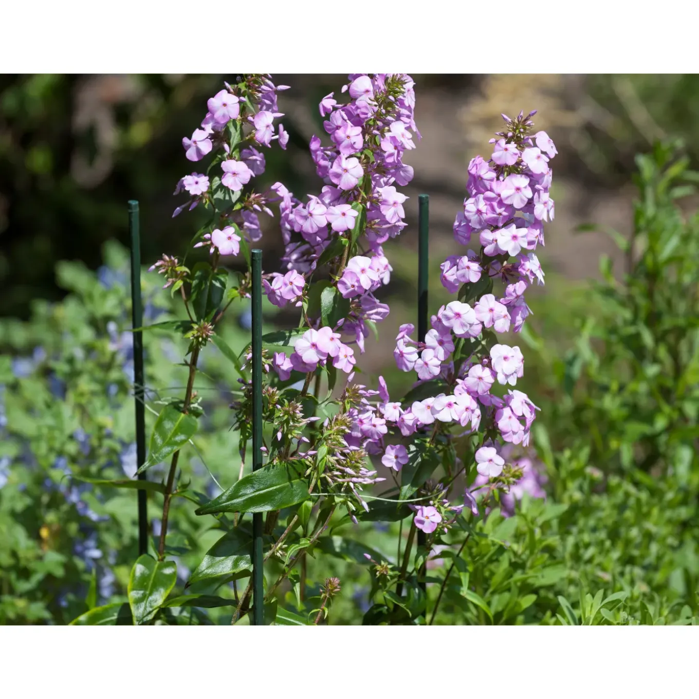 Nature kunststof plantenstok groen geribbeld H120cmxØ11mm