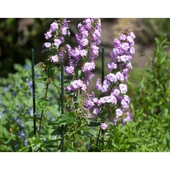 Nature kunststof plantenstok groen, geribbeld H120cmxØ11mm