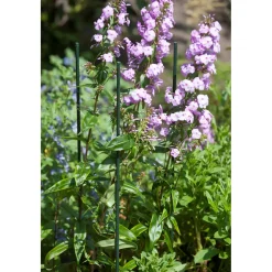 Nature kunststof plantenstok groen, geribbeld H120cmxØ11mm