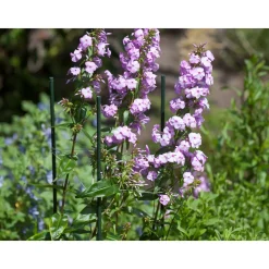 Nature kunststof plantenstok groen geribbeld H150cmxØ11mm
