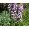 Nature kunststof plantenstok groen geribbeld H270cmxØ20mm