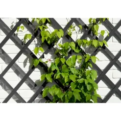 Nature plantenklimrek hout antraciet 100x200cm