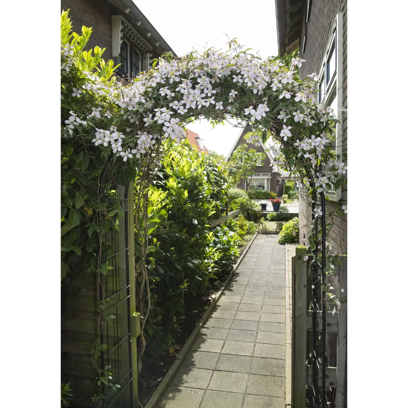 Nature rozenboog zwart 113x38x229cm