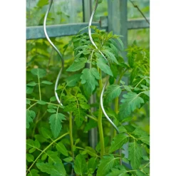 Nature tomatensteun verzinkt spiraalvormig H150cmxØ6,8mm