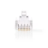 Nedis RJ45-connector Fresh Green Box mannelijk - Stranded UTP CAT6 transparant