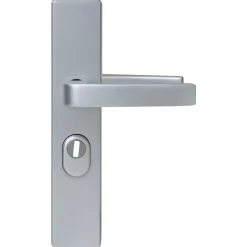 Nemef Veiligheidsbeslag voor Deur 3417-II - Aluminium Zilver - SKG*** Kerntrekbeveiliging - PC55mm