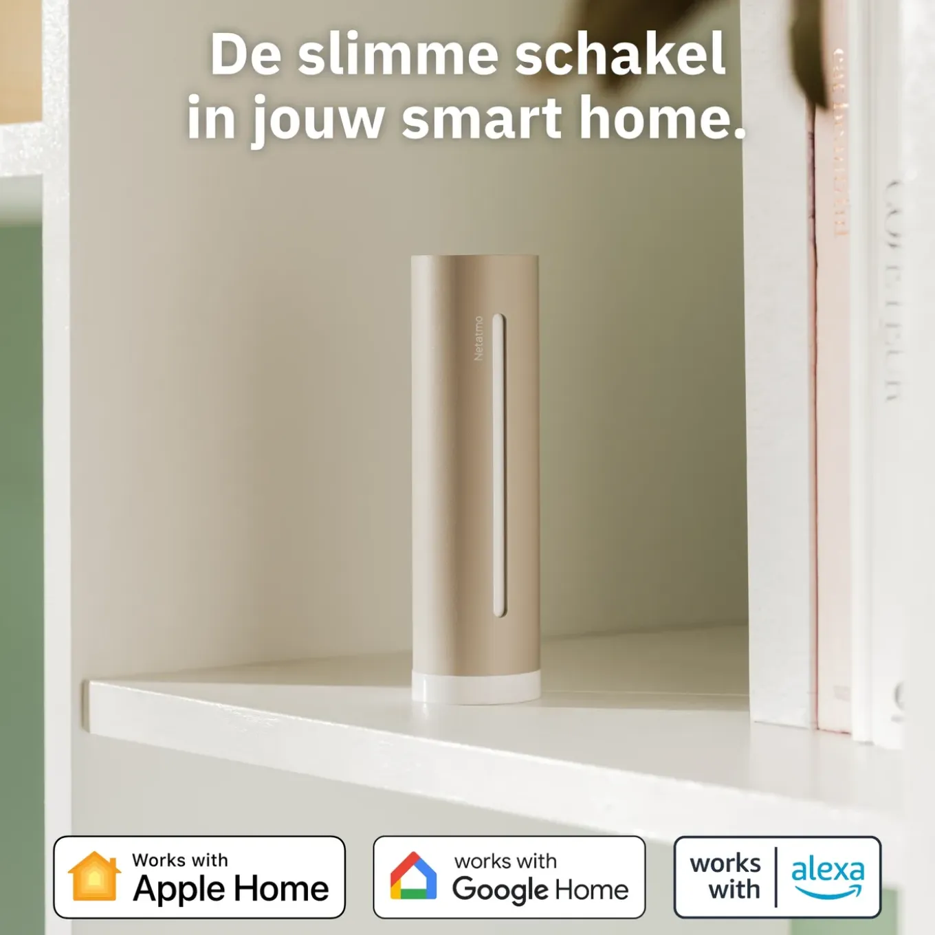 Netatmo Weerstation Original + Binnenmodule 2e Generatie + Regenmeter - Zand