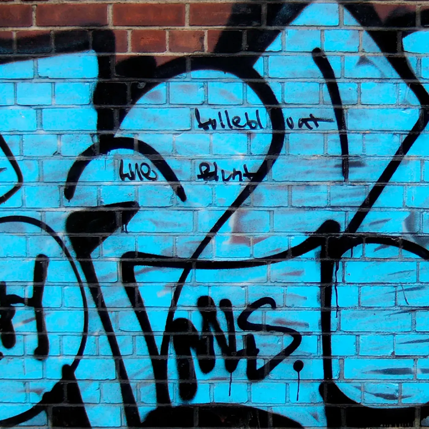 RICHARD Net+ Pro Graffitireiniger - - 1 L Spray